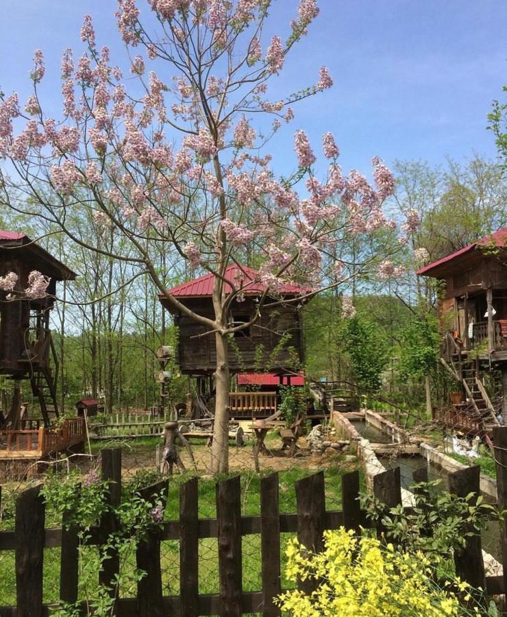 Zeni De Vore Serender & House Aparthotel รีเซ ภายนอก รูปภาพ